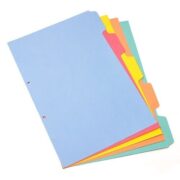 SEPARADORES A4 CARTULINA X 5