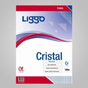 FOLIOS OFICIO X 100 PESADOS