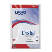 FOLIOS OFICIO X 100 LIVIANOS