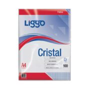 FOLIOS A4 X 100 LIVIANOS