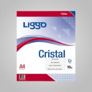 FOLIOS A4 X 100 PESADOS