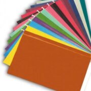 CAJA DE CARPETAS COLGANTES X 100 LADRILLO