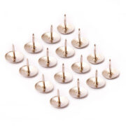 CHINCHES METALICAS X 100