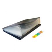 CARP. CLASIFICADOR A4 X 12 DIV.