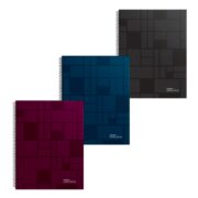 CUAD. EXECUTIVE X 84 RAYADO