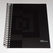 CUAD. 16X21 EXECUTIVE T. PLASTICA RAYADO