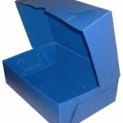 CAJA DE ARCHIVO POLIPROPILENO LEGAJO