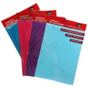 CARPETA NRO 3 2 TAPAS RIDEO