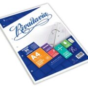 REPUESTO RIVADAVIA A4 X48 HOJAS