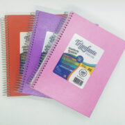 CUADERNO T/D 16X21 TRIUNFANTE X 100/120 H