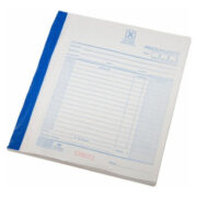 TALONARIO PRESUPUESTO ECONOMICO CHICO