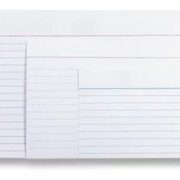 FICHAS N2 RAYADAS X 100